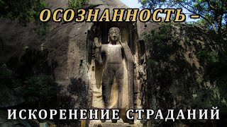 ОСОЗНАННОСТЬ – ИСКОРЕНЕНИЕ СТРАДАНИЙ