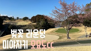[미야자키골프] 라쿠텐고라로 셀프 예약하고 다녀온 오요도 cc