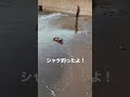 【観覧注意】斜里の浜でシャケを釣り上げた瞬間を公開！