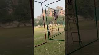 Cricket pitch marking net cricket pitch cricket stadium grass #shortvideo #cricket #trending #shorts