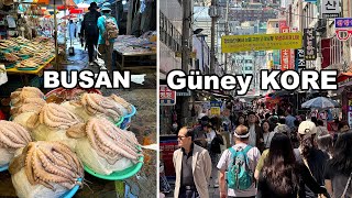 Busan Güney Kore Gezimiz 2. Bölüm - Türk Şehitliği, Kore Barbeküsü. Büyük Beklenti İle Gelinmemeli.