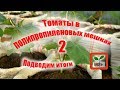 Помидоры в мешках 2 часть .Подводим итоги.