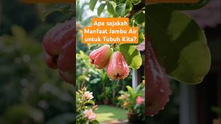 Apa sajakah Manfaat Jambu Air untuk Tubuh Kita?#buahdansayuran