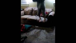Kid front flips off couch