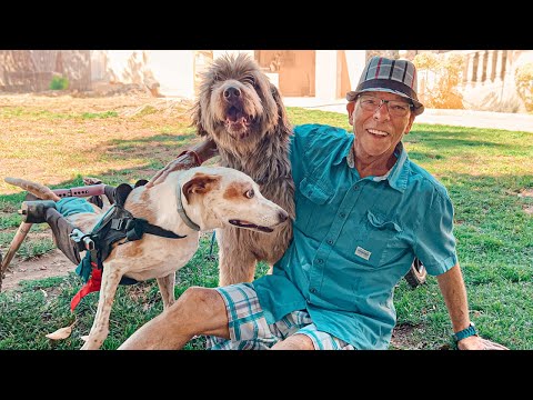 81-year old visits our shelter and the dogs go crazy!