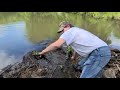 Uncloging a closed drain from beavers 🦫 #Beaver #beaverdam      #Drainage #clogeddrain #wirpool