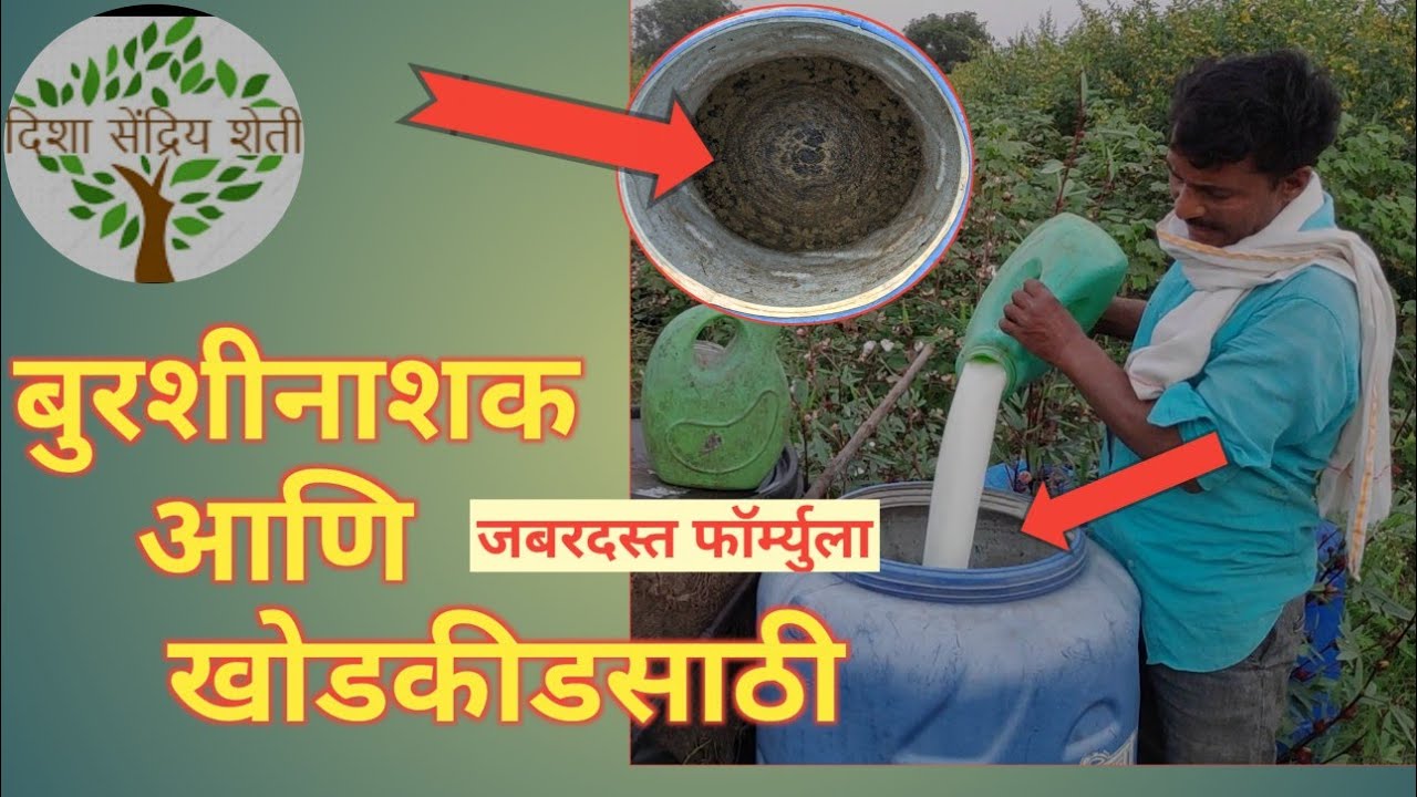 खोडकीड,मुळकुज होत असेल तर यावर जबरदस्त उपाय एकदम स्वस्तात अनुभवाचे जुगाड fungicide pesticide🌴🌳🐛