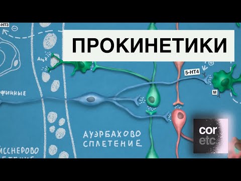 Видео: Прокинетические агенты: бетанехол, цизаприд, домперидон и метоклопрамид