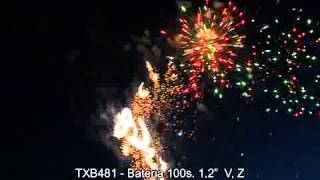 TXB481