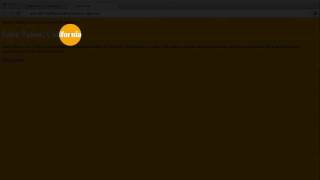 4.Inline and Internal Styles Profile
