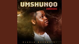 Video thumbnail of "Dladla Mshunqisi - Sabela"