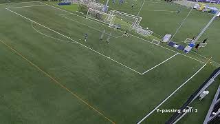 Y passing drill 3 variations