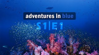 Similan & Surin | Thailand's Best Dives