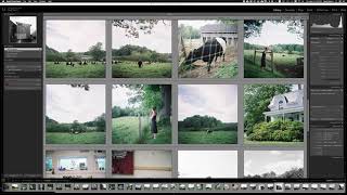 How to Edit Your Film Scans