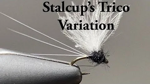 Stalcups Trico Variation (Trico Dun)