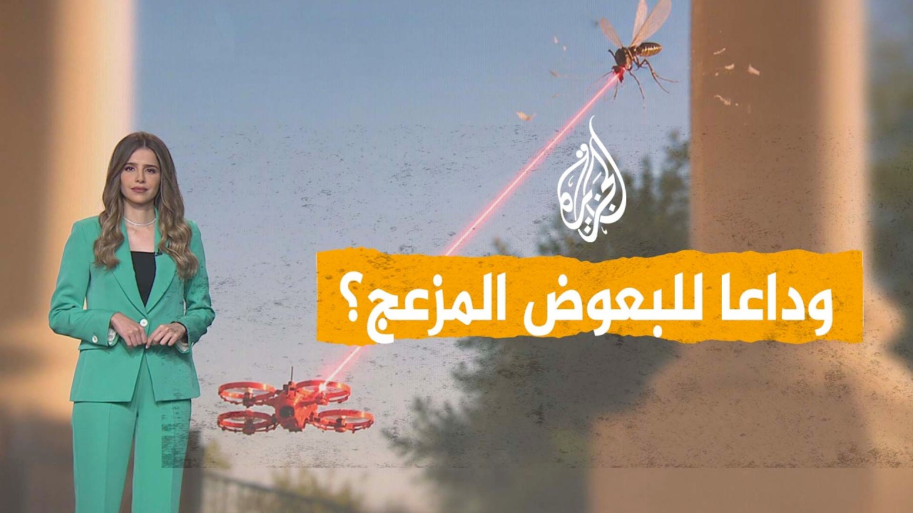����� | �� ����� ��� �����ֿ.. ��� ������ ������ �� ����
 - نشر قبل 35 دقيقة