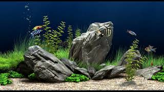 Calming Aquarium Fish Tank Sounds | No Music 2 Hours | Very Relaxing