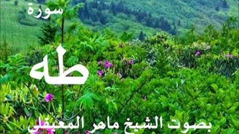 سورة طه بصوت الشيخ / ماهر المعيقلي 20