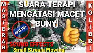 Terapi Kolibri Ninja Macet Bunyi  Mengatasi Kolibri Ninja Stres