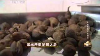 20150806 致富经  派出所里梦醒后