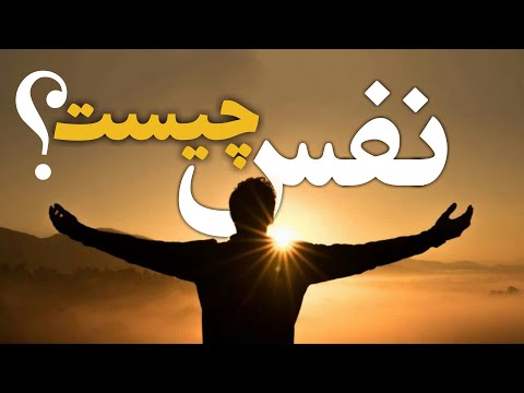 تصویری: امامی چه طعمی دارد؟