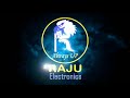 Raju Electronics Firm's Logo Design