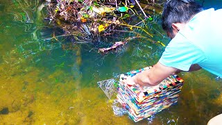 無限にメダカのいる水域にレゴ罠を設置したら…【牧場作り#19】