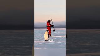 Sie haben 50 Pinguinen das Leben gerettet 🥰 #shorts