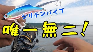 【デイシーバス釣行】ハクボイル！？噂のシリテンバイブで好釣果！