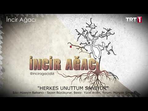 İNCİR AĞACI DİZİ Bölüm İçi Şarkı \