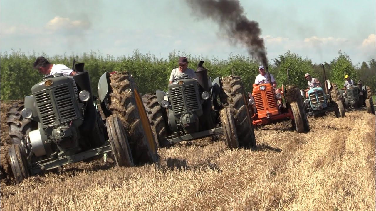 Old tractors plowing Hot bulb Landini testacalda, FIAT OM, Porsche