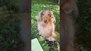 Summer isn t over yet Check out r roswell - weenie summer bucket list