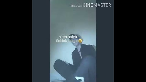 cinta boleh, Goblok jangan😂