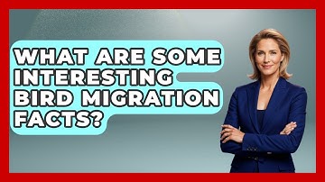 What Are Some Interesting Bird Migration Facts? - Bird Watching Diaries
