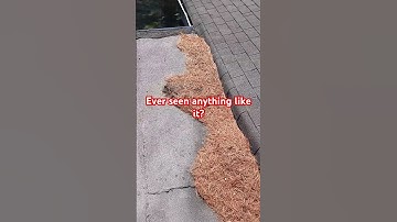 Gutter cleaning why shingle hanging over? seen anything like it? #guttercleaning #gutterclean #diy