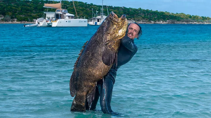 Spearfish 100lbs+ Goliath Grouper! [Solo Freedive Polespear] -- (Day 43/100 Water World Challenge)