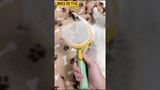 Pet Pumpkin Brush for Cats Dogs, Cat Brush Self Cleaning Slicker Brush for Short or Long Haired Pet