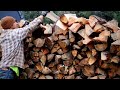 One Year's Worth of Firewood in Three Days