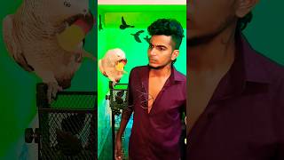 #shots #comedy #colors #ideas #motivacional #minecraftshorts #whatsappstatus #minivlog #funnybirds