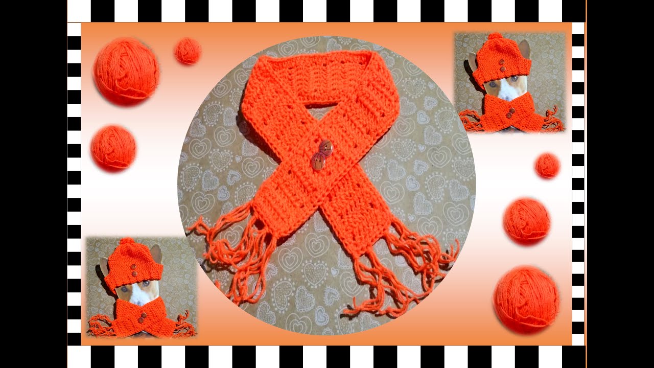 Bufanda a Crochet para Perros  con botones. Ideas y conjuntos para mascotas.