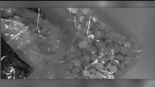 DEA achieves biggest bust in state history after seizing 20 kilograms of fentanyl in Oakland County