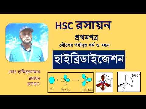 ভিডিও: হাইব্রিডের উদাহরণ কী?