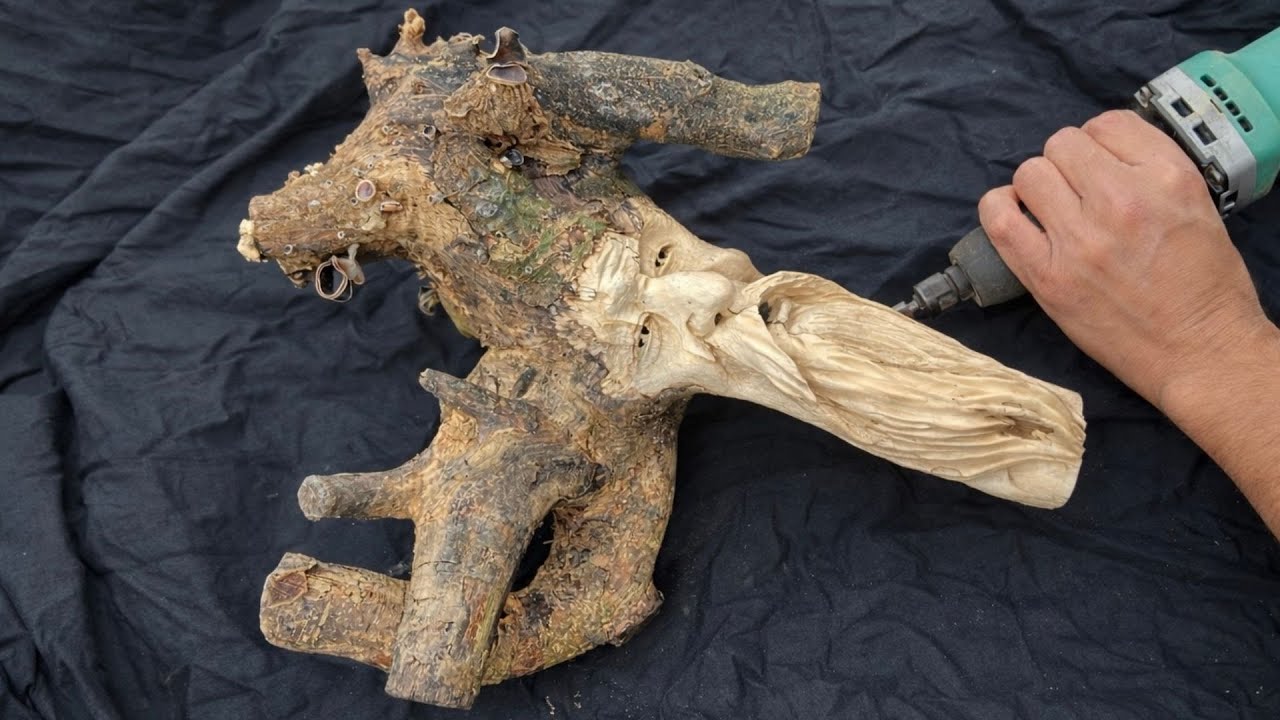 Using Rotting Tree Roots to Create Simple Carving Art for Beginners