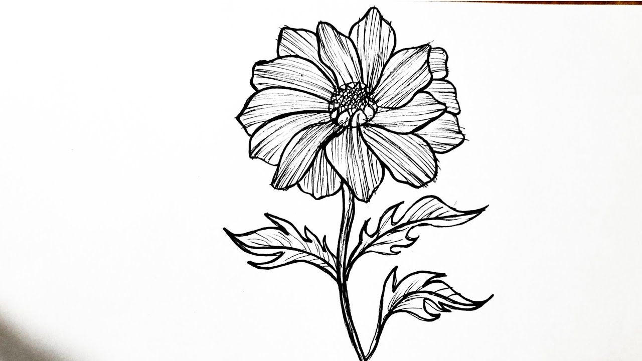 Método Fanart 3.0 - Curso Online Cool art drawings, Flower drawing, Art drawings simple