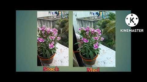 Pixel 4xl Stock Vs Mod Gcam Comparison...🥰👌