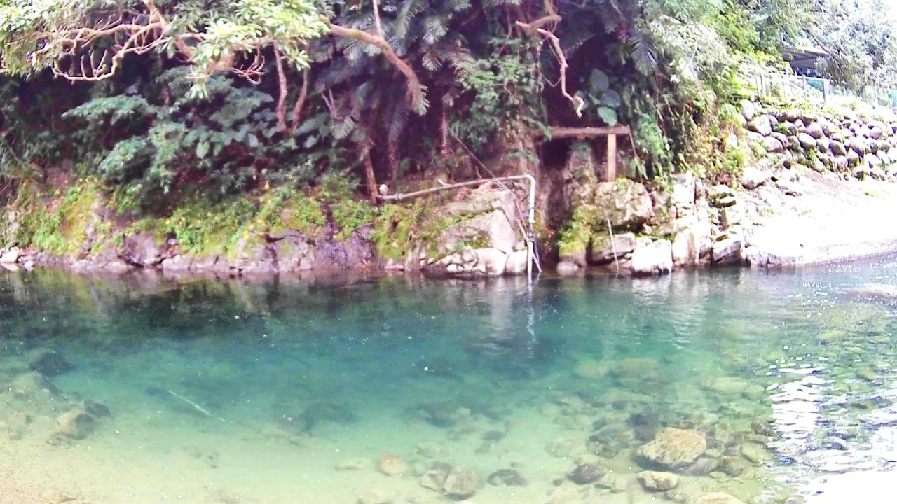 大豹溪超多大苦花 發現烤肉區就一堆尺花 #大豹溪是超危險溪流