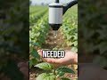 Discover the future of farming! #SmartFarming #TechInnovation #SustainableAgriculture