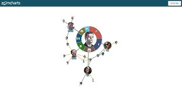 Explore Social Networks with ZoomCharts Intuitive Combination Charts