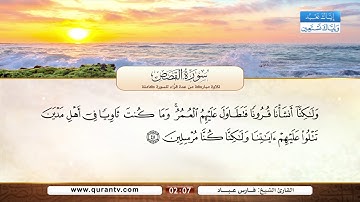 سورة القصص | فارس عباد | صابر عبد الحكم | صلاح بو خاطر | أنس العمادي | عادل ريان