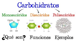Ejemplos de hidratos de carbono